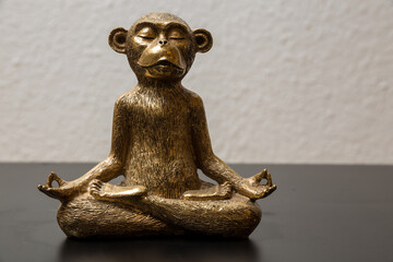 A meditating monkey.