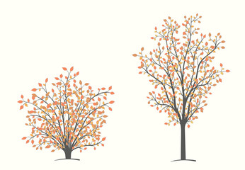 Tree and shrub with autumn leaves