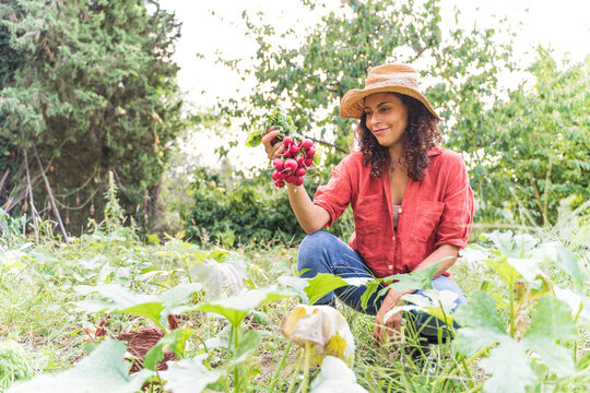 Smiling woman harvesting organic radish at vegetable garden