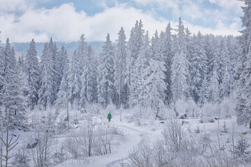 A backpacker exploring a winter forest in Vitosha, Bulgaria