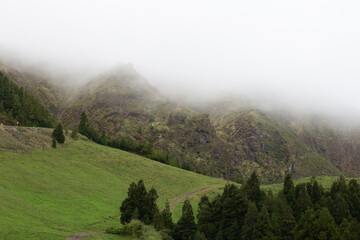 Foggy mountains with green forest