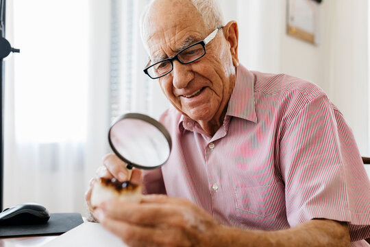 Retired elderly man examining minerals and fossils with magnifying glass while sitting at table
