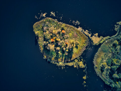 Autumn trees on small green island at Bethany Pond during sunny day