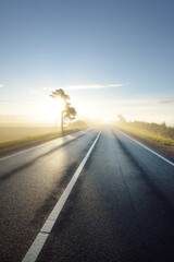 Panoramic view of the highway (new asphalt road) through the country agricultural field and forest in a fog at sunrise. Pure golden light, clear sky. Transportation, vacations, driving, freedom themes © Alex Stemmer