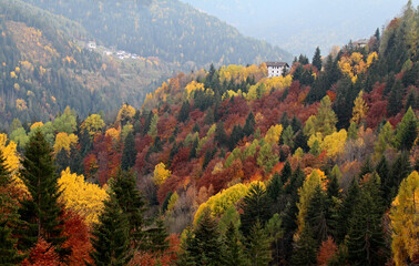 colori d'autunno in Val di Cembra, Trentino