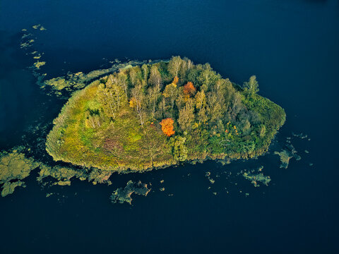 Aerial view of autumn trees on small green island at Bethany Pond during sunny day