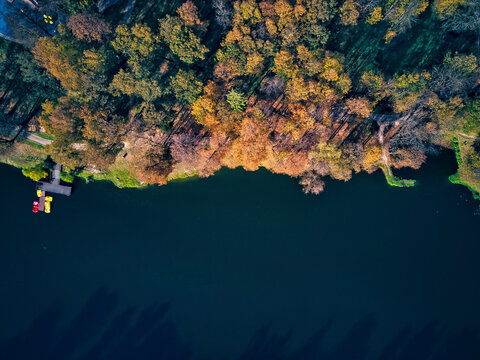 Directly above view of Bethany pond
