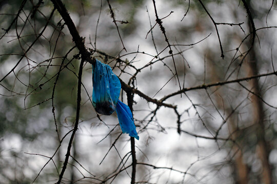 Pollution de l'environnement avec un sac de merde d'un chien laiss&eacute; sur la branche d'un arbre dans la for&ecirc;t
