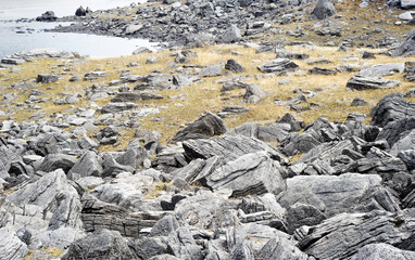 Gray textured rocks among yellow grass.