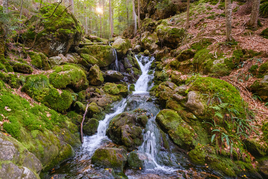 Sollerbach river flowing through Bavarian Forest