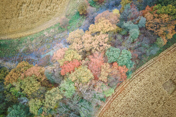Aerial photography of the river and autumn forest, autumn landscape