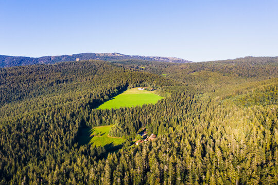 Drone view of glades in Bavarian Forest