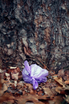 Pollution de l'environnement avec un sac de merde de chien laissé à côté d'un arbre dans la forêt