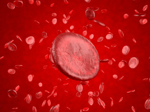 3D rendered illustration of hemoglobin cells floating in blood