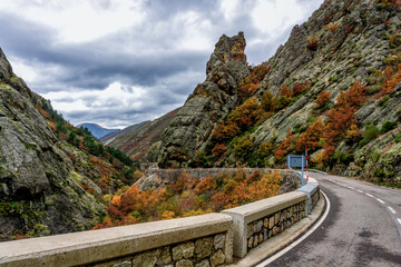 Fototapeta na wymiar narrow and curvy road in autum color mountain wilderness