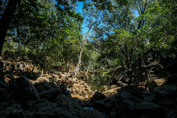Obraz premium Tunnel Creek National Park, Western Australia