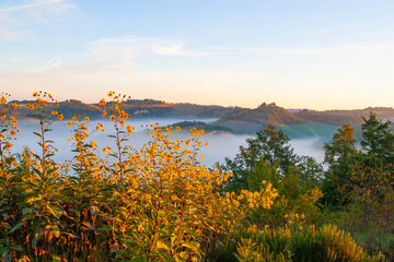 Obraz premium Tuscan landscape on a foggy morning, Italy