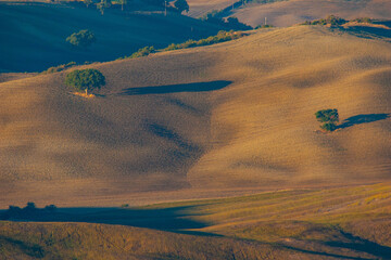 Fototapeta na wymiar Swinging hills in the Southern part of Tuscany, Italy