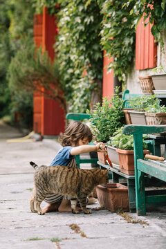 Boy planting plant while sitting by cat at backyard