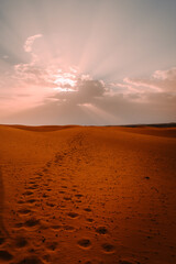 footprints in the desert dunes