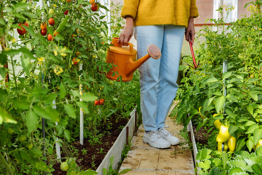 Woman holding watering can and gardening equipment while standing at greenhouse