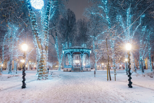 Snow covered footpath amidst illuminated trees during Advent at night