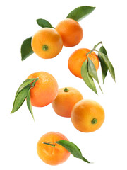 Fresh ripe tangerines with green leaves falling on white background