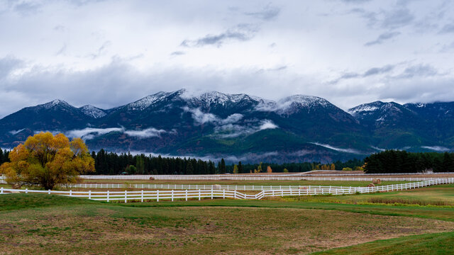 Montana Views