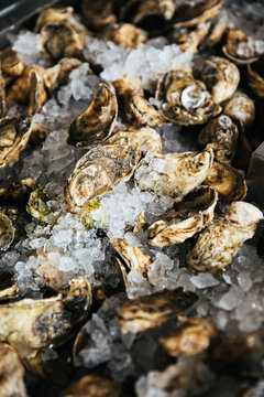 Oysters on Ice