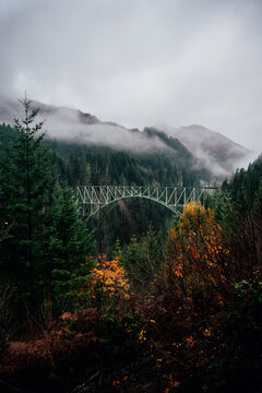 Vance Creek Bridge