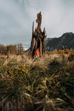 Man Standing By Giant Tree