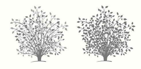 Shrub in gray color in two versions in vintage style