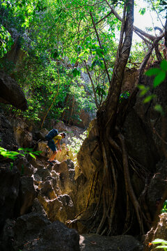 Adventurer climbing up rock in jungle