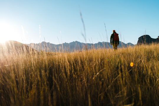 Hiker exploring valley through dry weed at sunrise