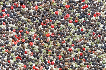 Colored pepper isolated on white background