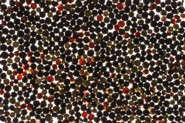 Colored pepper isolated on white background