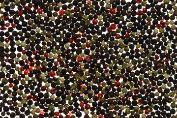 Colored pepper isolated on white background