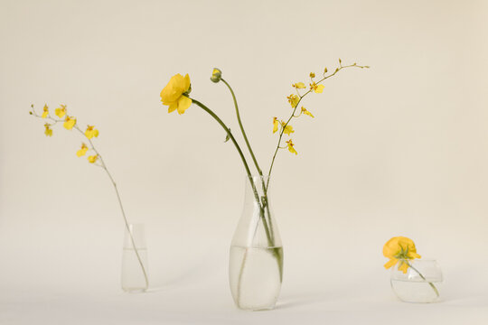 vases of yellow flowers in the sunlight