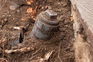 Broken main septic pipe caused by a tree growing next to the foundation of a home.