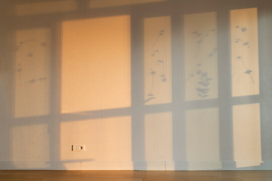 shadow of the windows