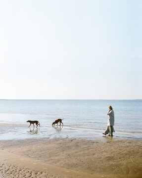 A girl with blond hair walks with two dogs along the beach