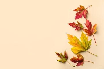 Colorful autumn leaves on beige background, flat lay. Space for text