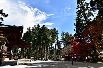 日本の和歌山の寺の紅葉, 高野山