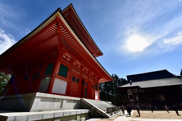 Fototapeta premium 日本の和歌山の寺の紅葉, 高野山