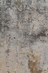 Grayish Rustic Grungy background on textured wall.  