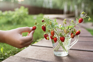 Strawberry twigs with berries in a Cup.