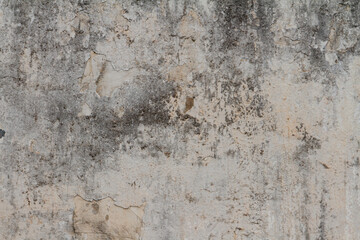 Grayish Rustic Grungy background on textured wall.  