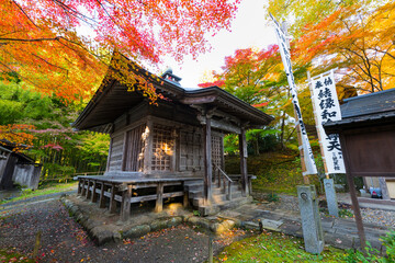 日本の世界遺産　岩手中尊寺紅葉の阿弥陀堂