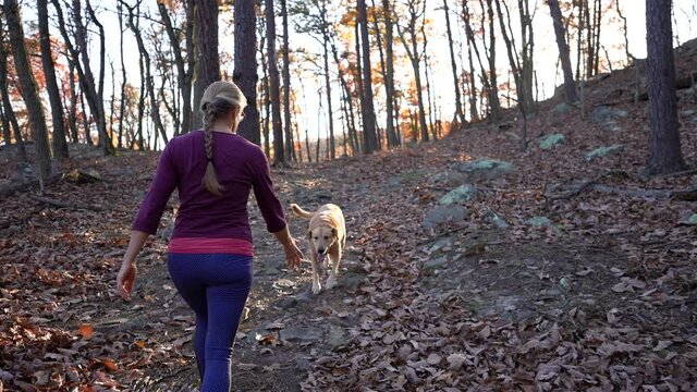 Rear view of athletic mature woman hiking with her dog in the fall forest on a sunny autumn day, slow-motion 4K video.