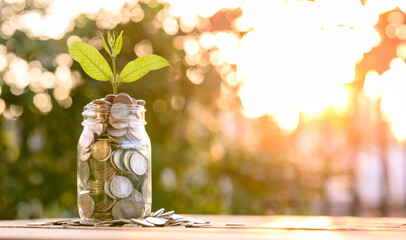 Growing Money, business finance and savings money invest , Balance savings and investment, Plant...